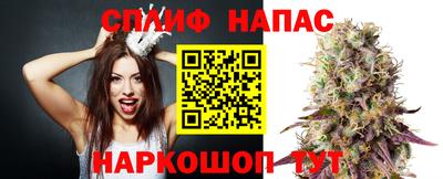 стаф Апшеронск