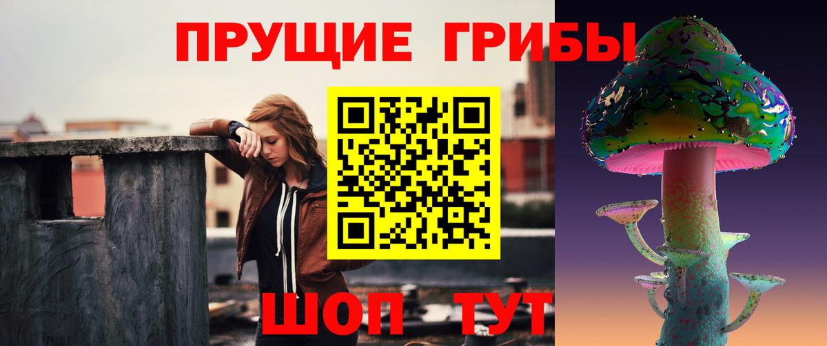 Псилоцибиновые грибы мицелий  Псилоцибиновые грибы Magic Shrooms  Владикавказ  где купить наркоту  Вход с VPN 